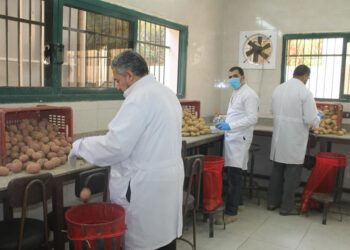 وحدة الاستشعار عن بعد