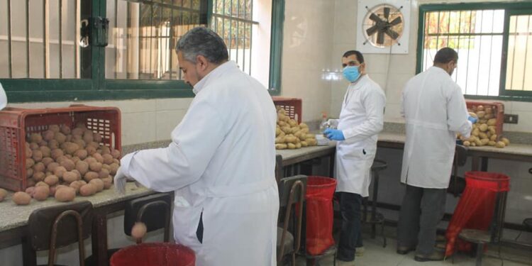 وحدة الاستشعار عن بعد.. مهامها وما تمثله لمشروع حصر ومكافحة العفن بالبطاطس 1 وحدة الاستشعار عن بعد