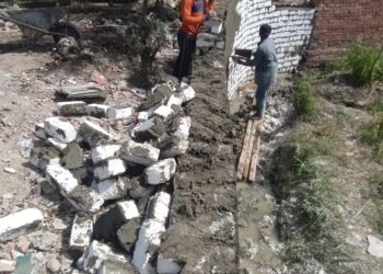 الأرض الزراعية