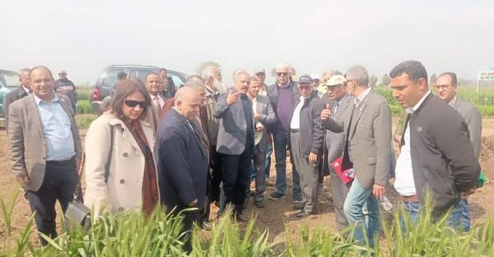 اختتام فعاليات يوم القمح السنوي بمحطة بحوث سخا 1 يوم القمح السنوي