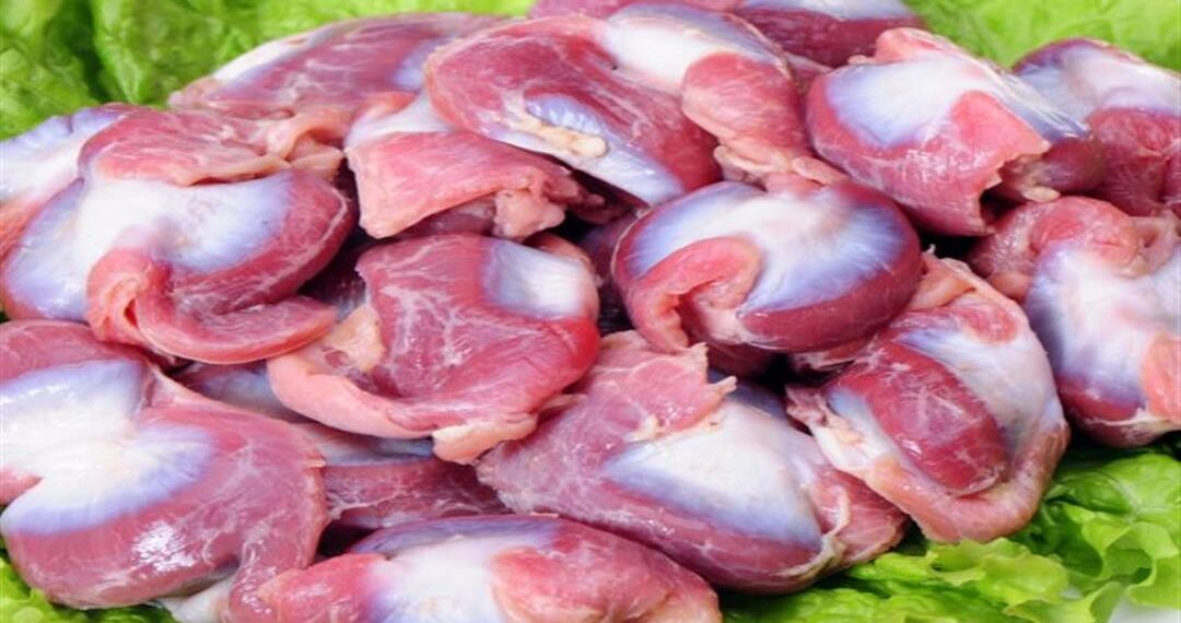 قانصة الدجاج