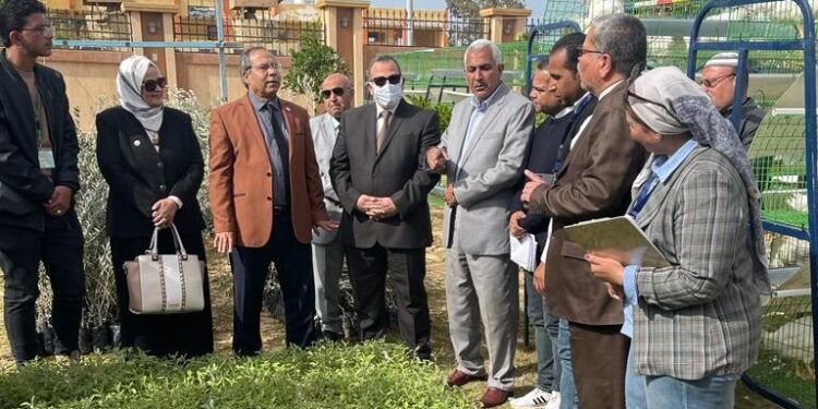 تعاون مكثف بين مركز بحوث الصحراء وشمال سيناء 1 مركز بحوث الصحراء
