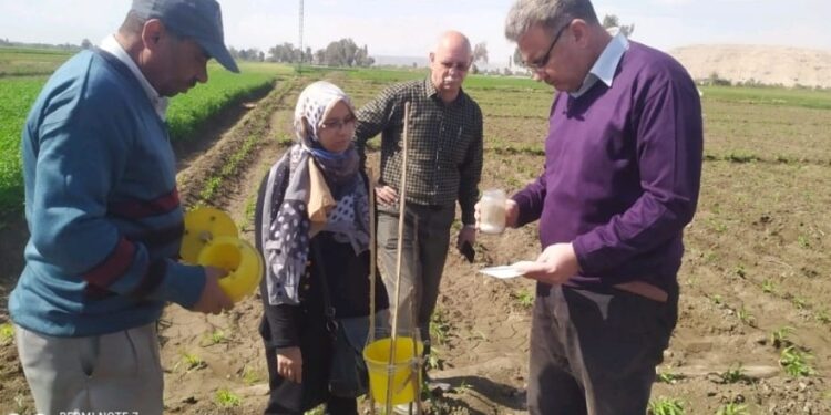 مكافحة الآفات