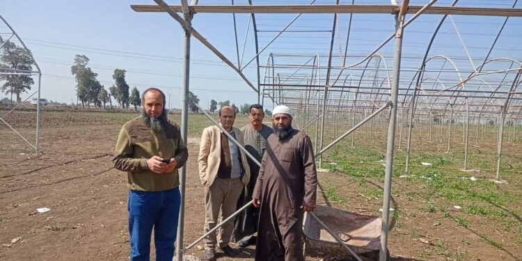 جولة تفقدية لبرنامج إنتاج تقاوي الخضر بمحطة بحوث سخا 1 تقاوي الخضر