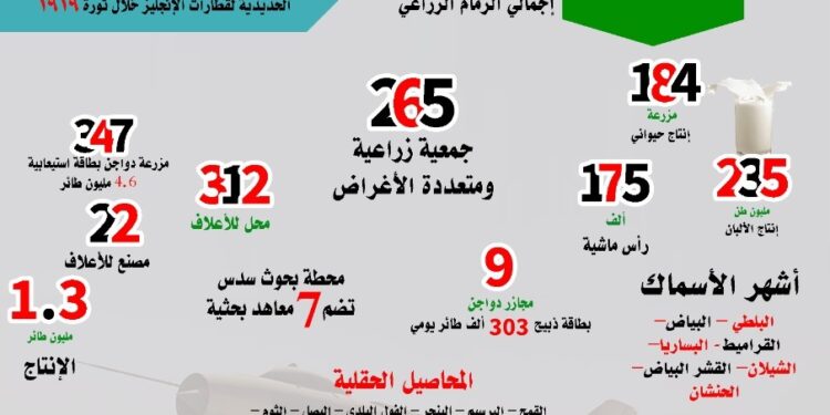بمناسبة عيدها القومي.. "بني سويف".. الحضارة والزراعة في لؤلؤة الصعيد 1 بني سويف