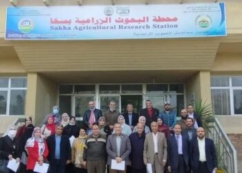 التحول الرقمي