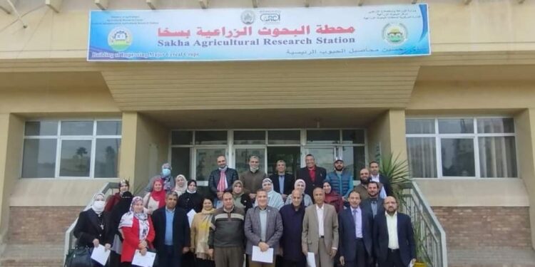 ختام البرنامج التدريبي "التحول الرقمي ودوره في تنمية المجتمعات الريفية الزراعية" 1 التحول الرقمي