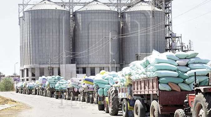 القمح.. وزارة التموين تتابع استعدادت الصوامع لبدء عملية التوريد 1 حافز استثنائي