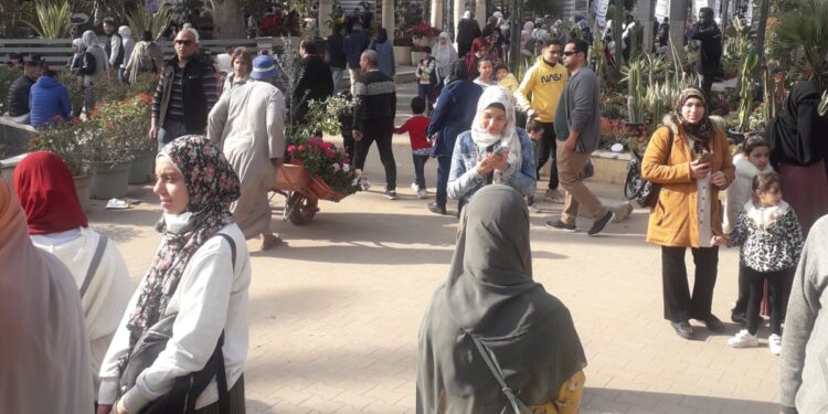 غدا.. توزيع 5000 شتلة نباتات على الأمهات بمعرض زهور الربيع 1 معرض زهور الربيع