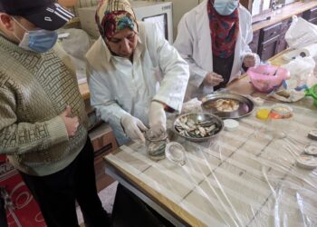 تكنولوجيا الأغذية