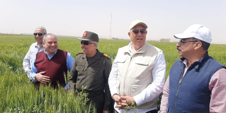 وزير الزراعة يتفقد أحد حقول القمح بأسوان ويؤكد: الدولة تدعم الاستثمار الأجنبي 1 وزير الزراعة