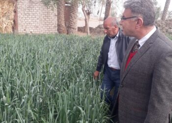 مكافحة الآفات