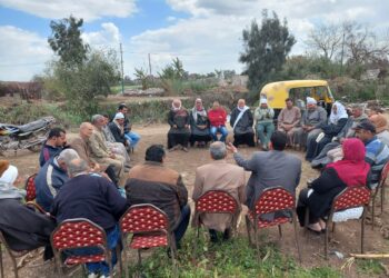 الزراعة: تنفيذ 74 مدرسة حقلية للمحاصيل الشتوية فى 17 محافظة