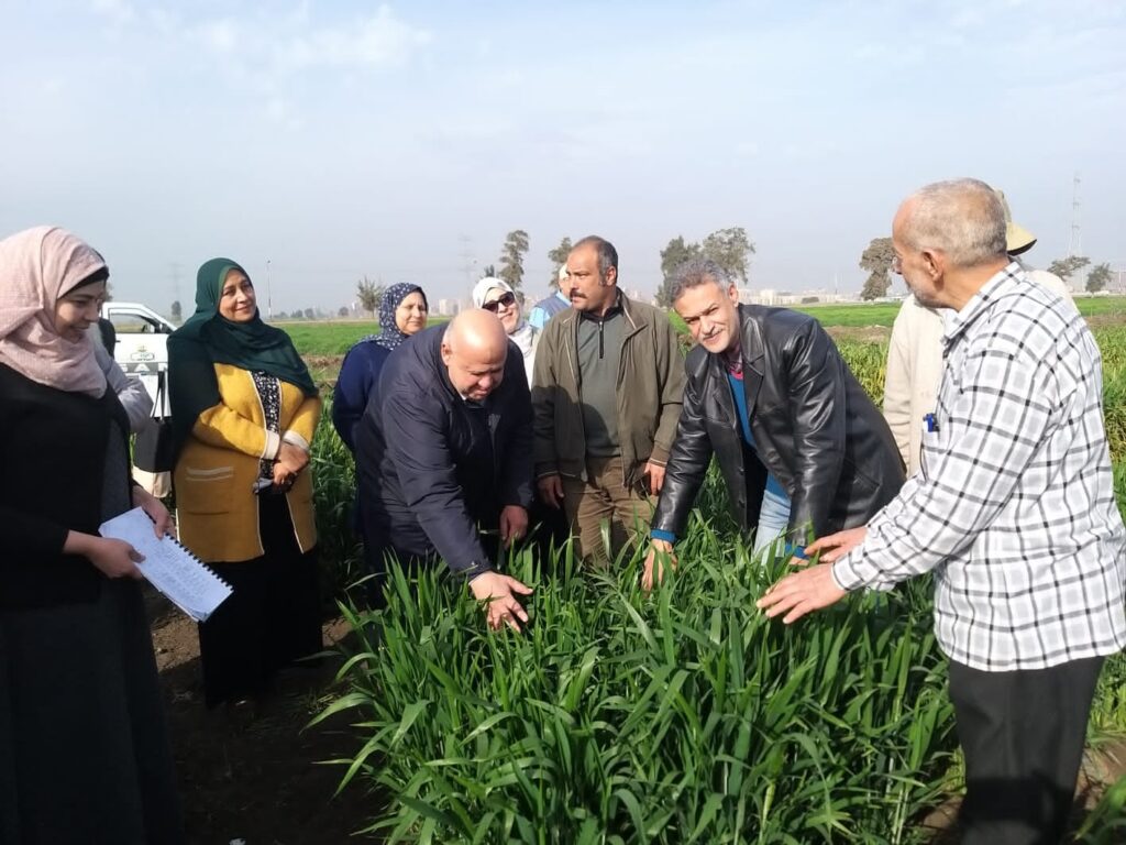 أنشطة معهد أمراض النباتات خلال فبراير .. إليك التفاصيل 12 أنشطة معهد أمراض النباتات