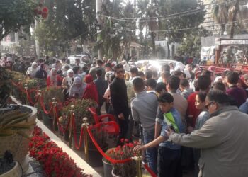 معرض زهور الربيع