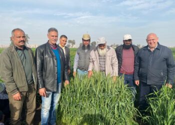 أنشطة معهد أمراض النباتات