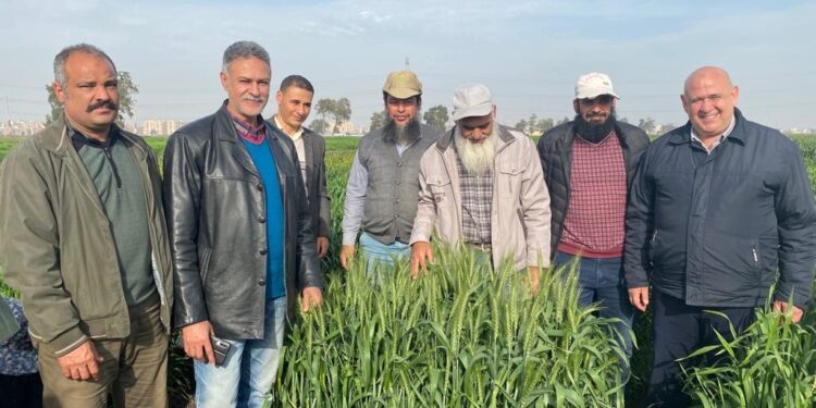 أنشطة معهد أمراض النباتات خلال فبراير .. إليك التفاصيل 1 أنشطة معهد أمراض النباتات