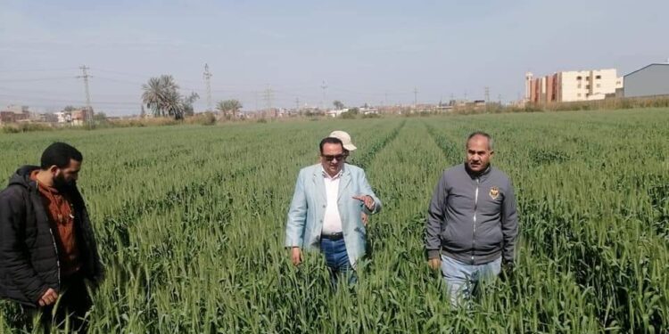 مديرية زراعة دمياط.. نشاط مُكثف وحلول جذرية لأغلب مشاكل المُزارعين 1 مديرية زراعة دمياط