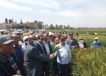 البحوث الزراعية