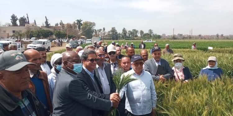 البحوث الزراعية