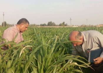 الإدارة المركزية للإرشاد الزراعي