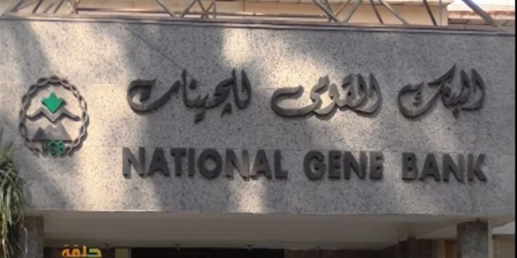 البنك القومي للجينات.. تعرف على مهامه الأساسية وخطوات حفظ العينات 1 البنك القومي للجينات