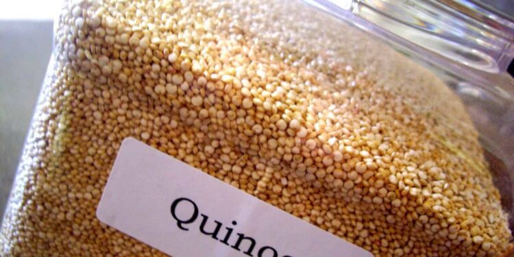 الكينوا.. محصول سحري وبديل غذائي لمرضى حساسية "القمح" 1 الكينوا