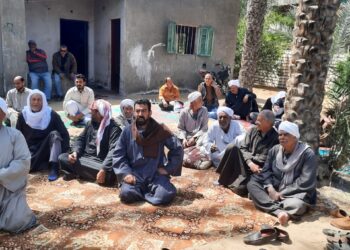 مرض العفن الهبابى