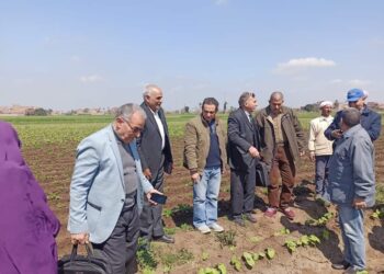 مديرية زراعة الشرقية