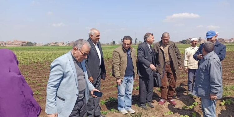 مديرية زراعة الشرقية.. مدرسة حقلية بـ"بلبيس" وندوة عن الزيادة السكانية بـ"الزقازيق" 1 مديرية زراعة الشرقية