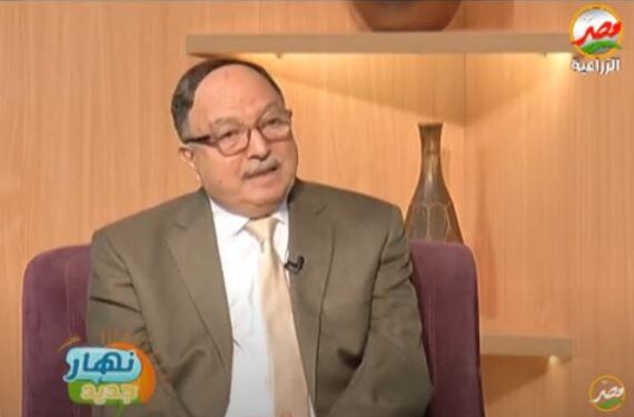 التوتا أبسلوتا.. رئيس بحوث يشرح ضوابط المكافحة الكيميائية 1 التوتا أبسلوتا