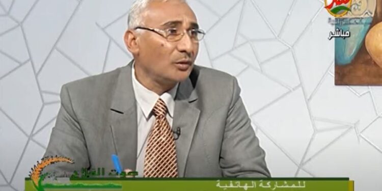 القمح.. أهم المعاملات الزراعية حاليا حتى الحصاد 1 القمح