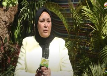 نباتات الزينة