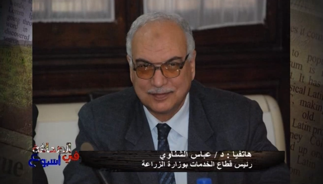 القمح