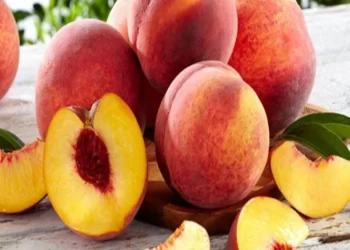 ذبابة الخوخ