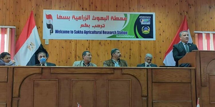 معهد الإرشاد الزراعي ينظم تدريبا عن التحول الرقمي بـ محطة بحوث سخا 1 محطة بحوث سخا