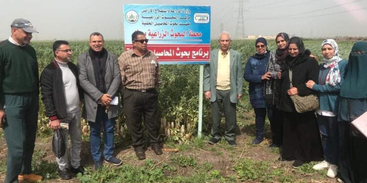 محطة بحوث سخا تستضيف رئيس قسم البحوث البقولية 1 محطة بحوث سخا