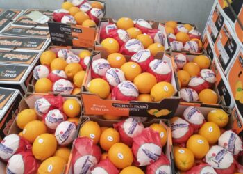 محصول الموالح