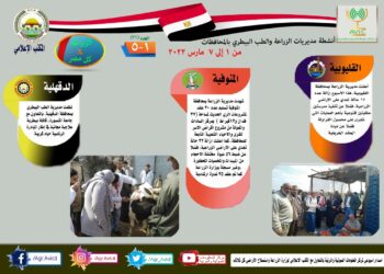 مركز المعلومات الصوتية