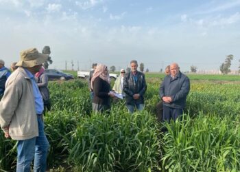 معهد بحوث أمراض النبات