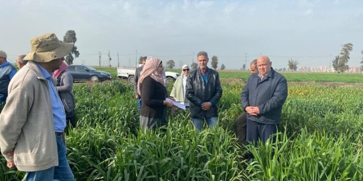 معهد بحوث أمراض النبات.. قلعة علمية ودور فاعل بالنسبة للمُزارعين 1 معهد بحوث أمراض النبات