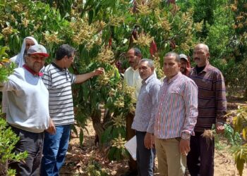 معهد بحوث أمراض النباتات