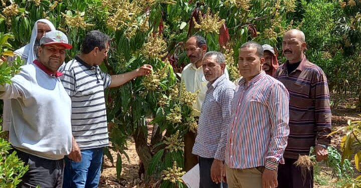 "الزراعة" تصدر تقريرا حول أنشطة معهد بحوث أمراض النباتات 1 معهد بحوث أمراض النباتات