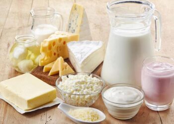 منتجات الألبان