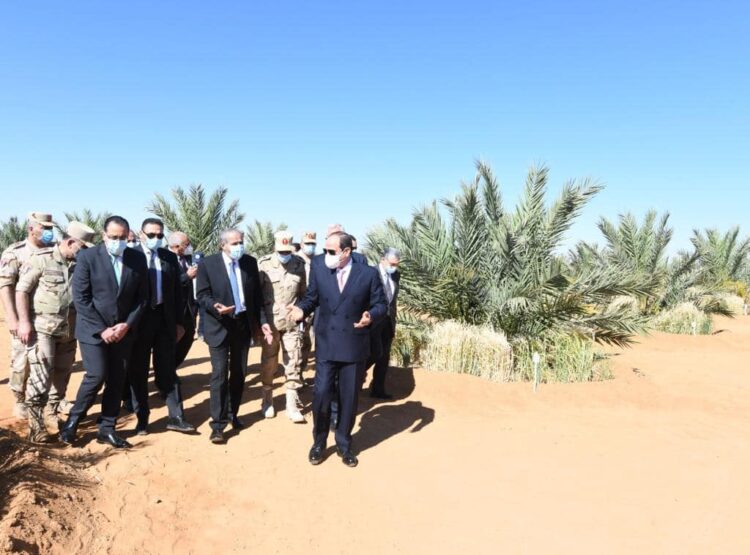 الرئيس السيسي يتفقد منطقة توشكى مع بداية موسم حصاد القمح