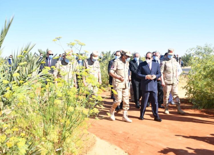 الرئيس السيسي يتفقد منطقة توشكى مع بداية موسم حصاد القمح