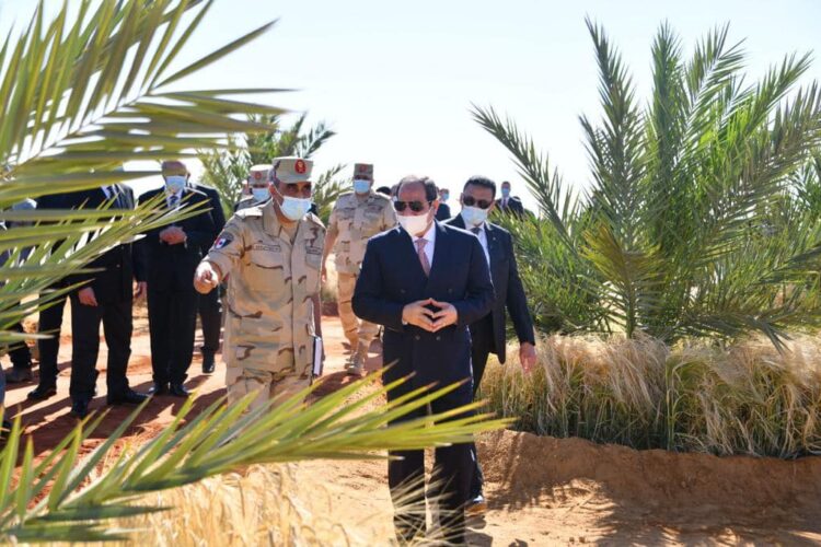 الرئيس السيسي يتفقد منطقة توشكى مع بداية موسم حصاد القمح