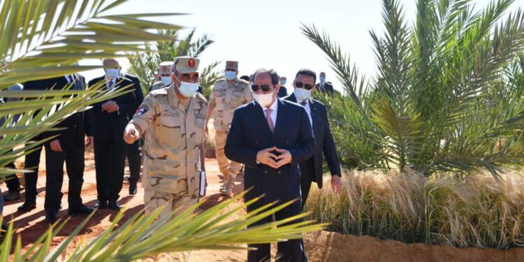 الرئيس السيسي يتفقد منطقة توشكى مع بداية موسم حصاد القمح 1 السيسي