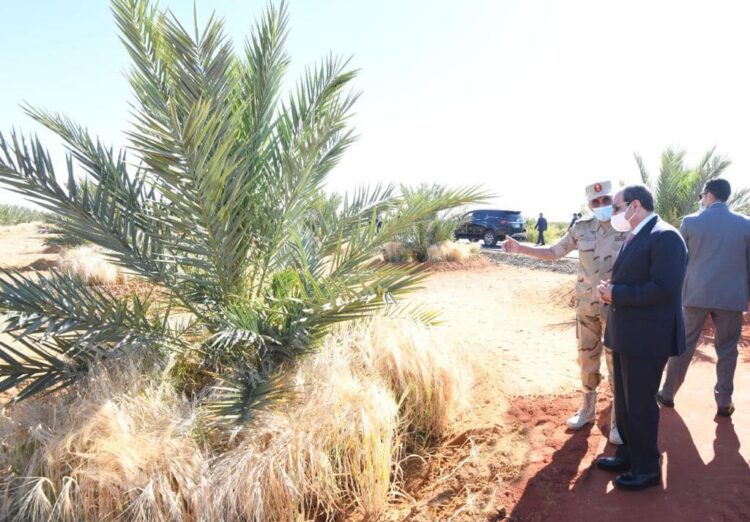 الرئيس السيسي يتفقد منطقة توشكى مع بداية موسم حصاد القمح