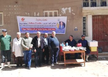 التناسليات الحيوانية